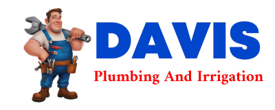 Trusted plumber in THOMASBORO